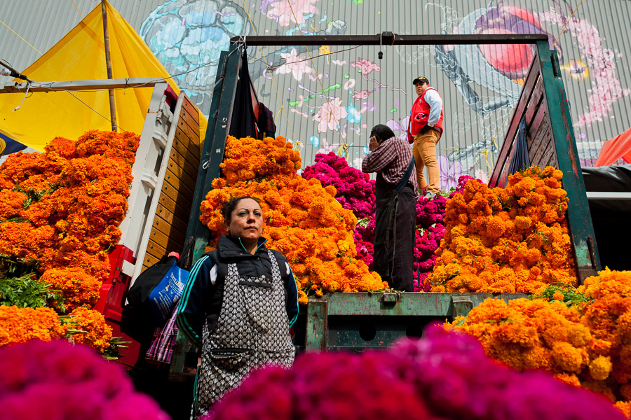 Dark markets mexico