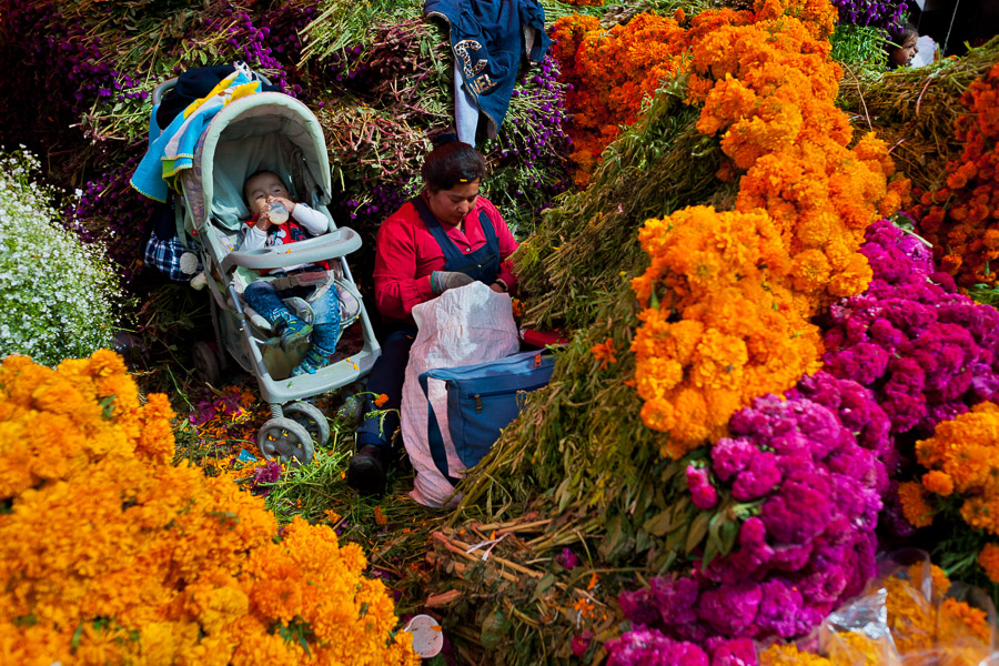 A Mexican flower market vendor takes care of her baby while selling marigold flowers (Flor de muertos) for Day of the Dead holiday in Mexico City, Mexico.