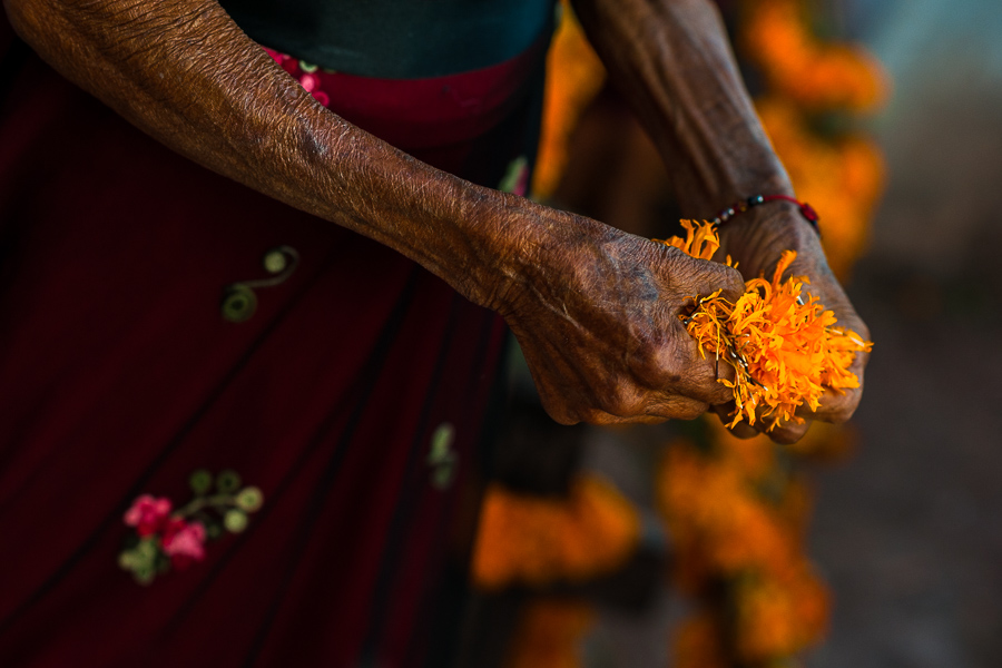 A Mixtec indigenous woman, holding marigold flower petals in the hands, decorates a grave at a cemetery during the Day of the Dead celebrations in Xalpatláhuac, Guerrero, Mexico.