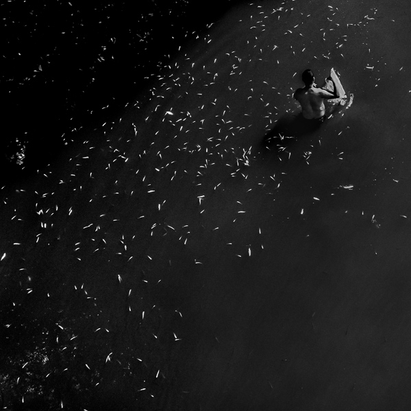 A young Afro-Colombian man recollects barely-alive sardines amongst thousands of dead fish floating in an urban sea channel in Cartagena, Colombia.