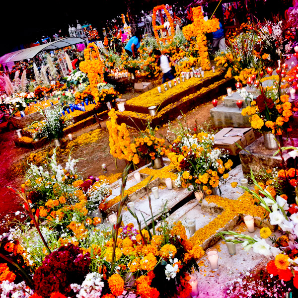 Graves covered by marigold flowers, gifts and candles, in honor of the deceased, are seen during the ritual celebration of the Day of the Dead (Día de Muertos) at the cemetery of Tzintzuntzan, Michoacán, Mexico.