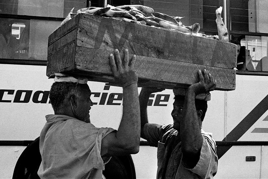 Brazilian dock workers in Ver-o-Peso market, port of Belem, Brazil.