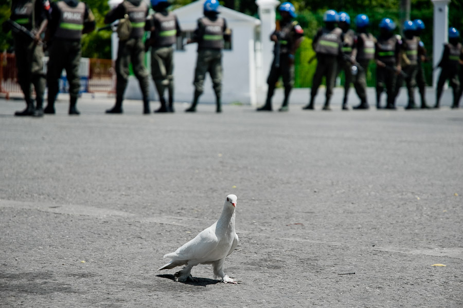 A white dove behind the UN policemen that guard the Presidential Palace in Port-au-Prince, Haiti.