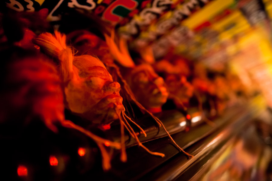 Fake human shrunken heads (‘tsantsa’) displayed in the office of Ramiro Lopez, a Colombian ‘brujo’ calling himself Shaman Llanero, in Bogota, Colombia.