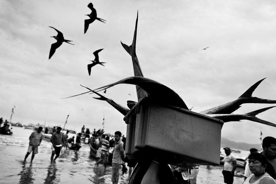 A fisherman carries a box of the Dorado fish catch on the beach of Puerto López, Ecuador.