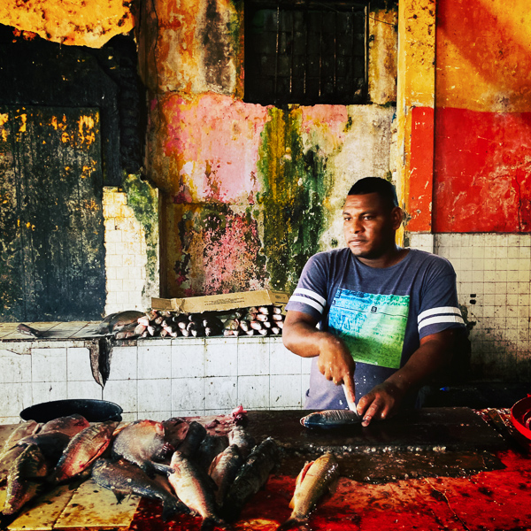 An Afro-Colombian fish vendor cuts scores into a fish in the (central) market in Montería, Córdoba, Colombia.