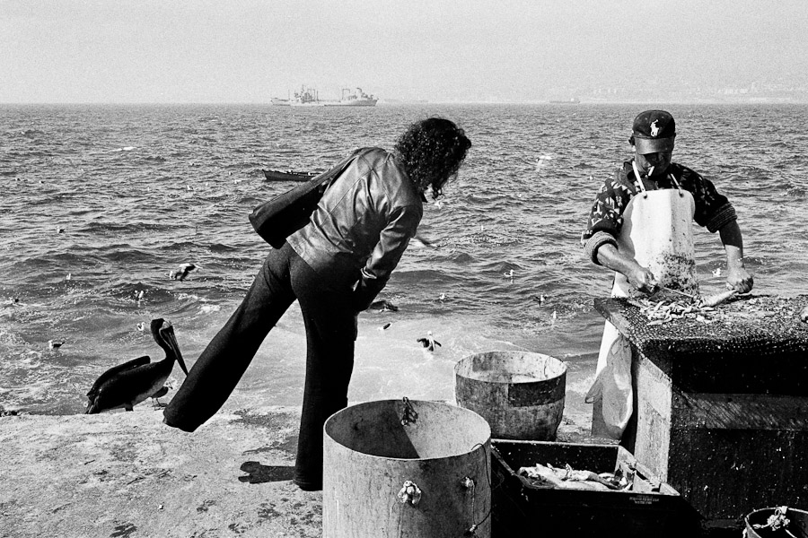 A Chilean woman looks for a fish to buy at caleta Membrillo, in the port of Valparaíso, Chile.