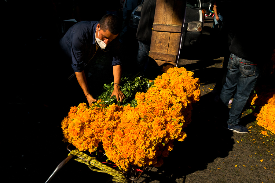 A Mexican man carries bunches of marigold flowers (Flor de Muertos) for the Day of the Dead celebrations in the market in Mexico City, Mexico.