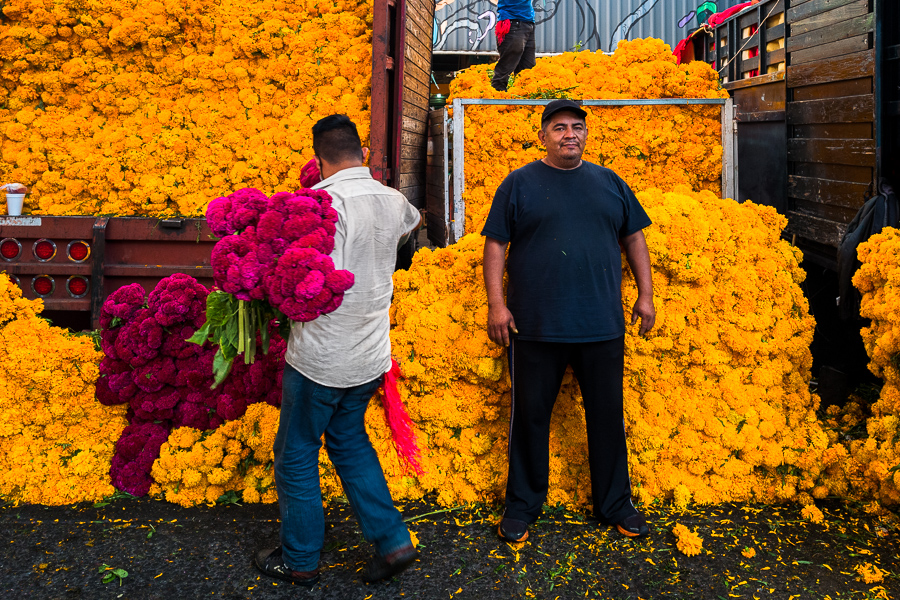 A Mexican farmer stands in front of the piles of marigold flowers (Flor de Muertos) sold for the Day of the Dead celebrations in Mexico City, Mexico.