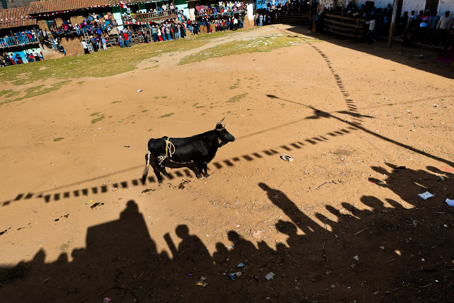 Yawar fiesta (Apurímac, Cotabambas, Peru)