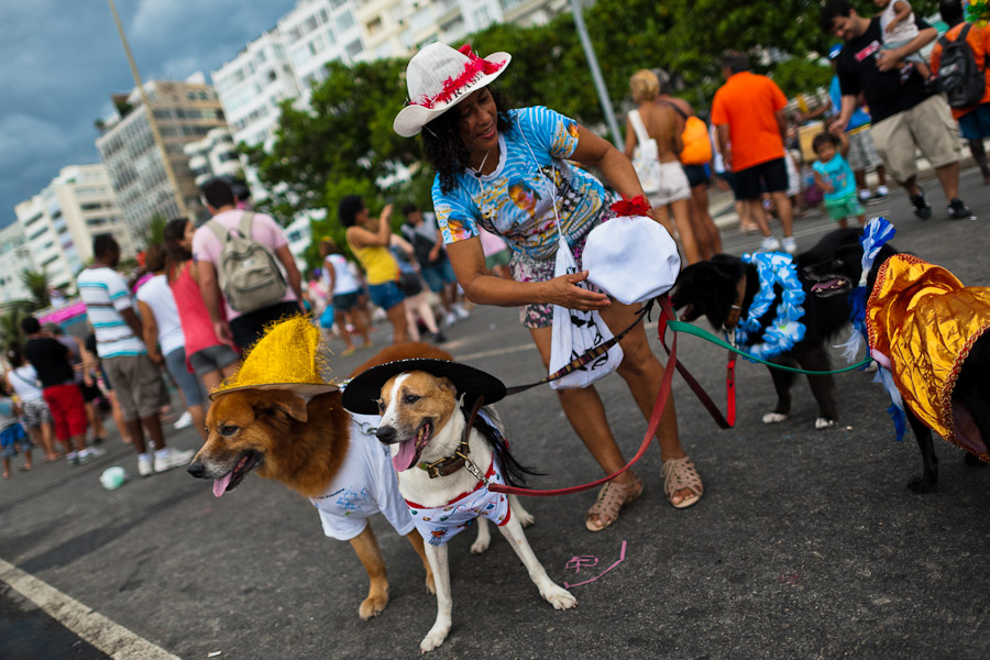 Karneval mazlíčků (Copacabana, Rio de Janeiro, Brazílie)
