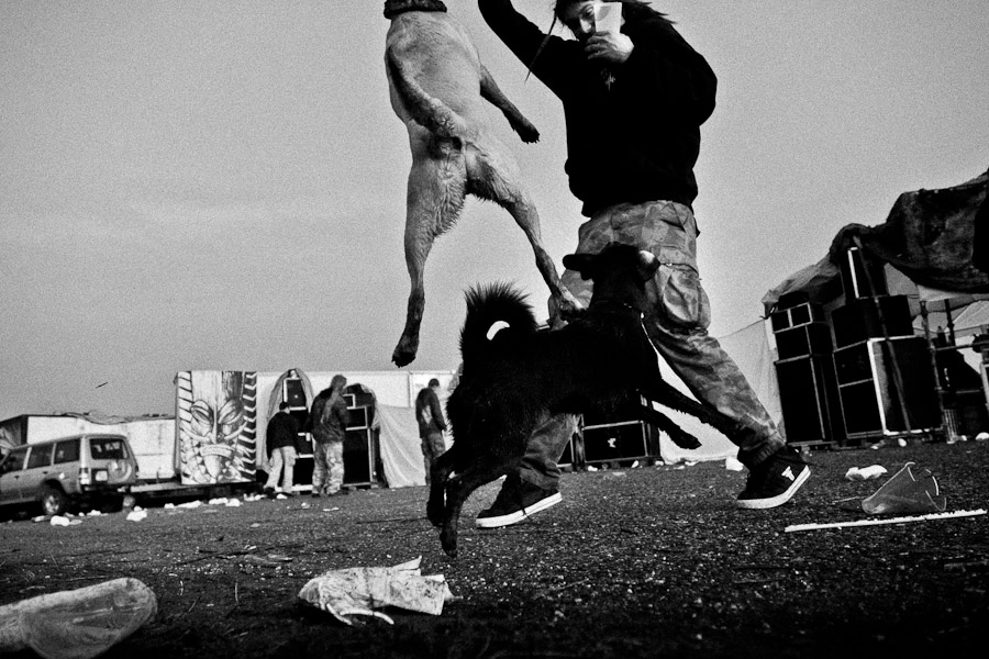 A young boy plays with dogs at Czech Free Tekno Festival “Czarotek” close to Kvetná, Czech Republic.