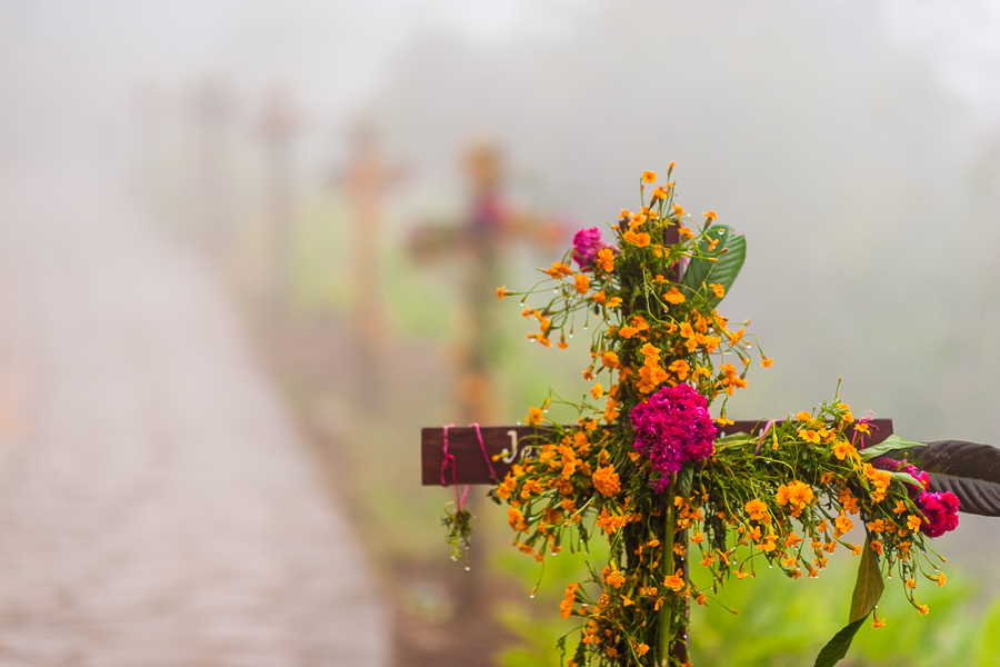 A row of flower-decorated wooden crosses is erected along the way to a cemetery during the Day of the Dead celebrations in Ayutla, Mexico.