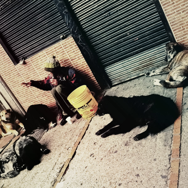 A Colombia homeless man eats food leftovers found in the garbage, sharing them with his 9 dogs, on the street of Bogota, Colombia.