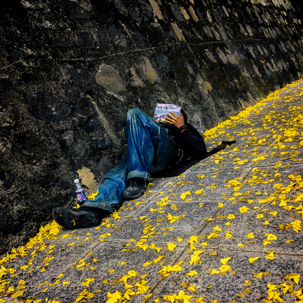 A Salvadoran homeless man lies on the sidewalk covered with yellow petals on the street in San Salvador, El Salvador.