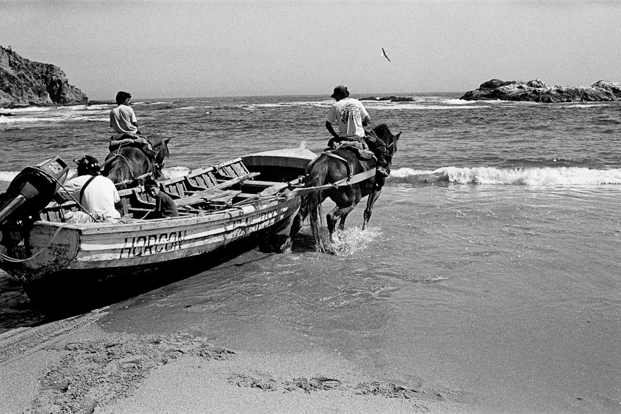 Horses drag a fishing boat on the beach of the Pacific coast in Chile.