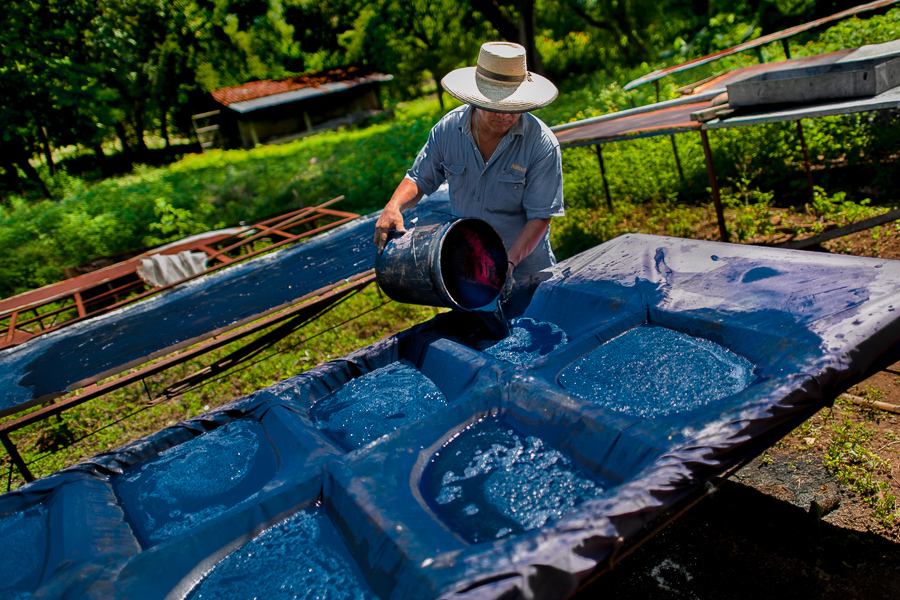 Miguel Ventura, a Salvadoran natural indigo producer, pours liquid indigo solution onto a cloth sheet to filter out the water at the semi-industrial manufacture near San Miguel, El Salvador.