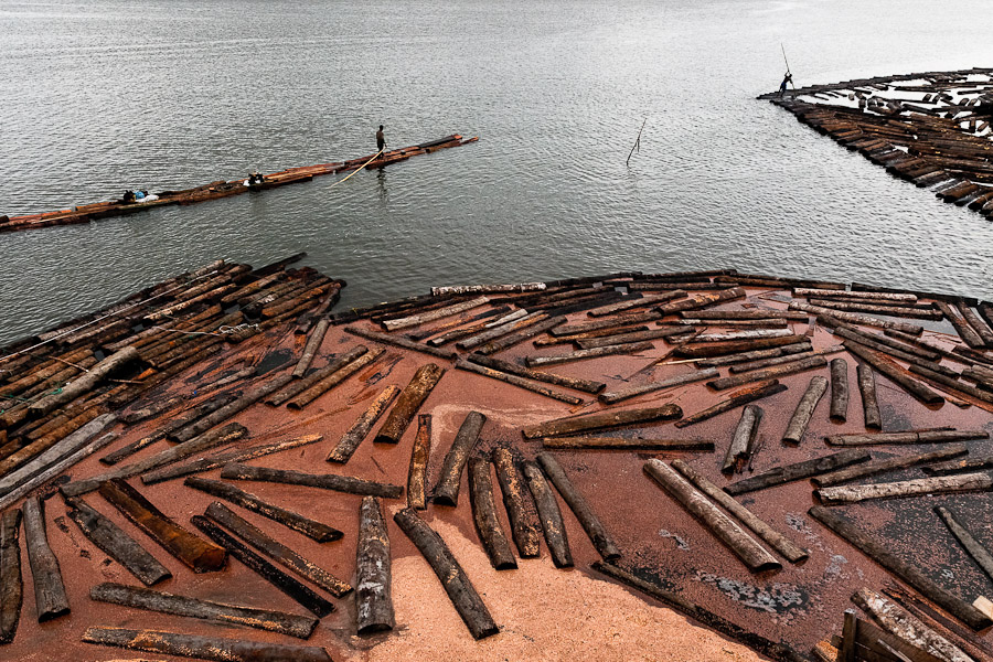 The dense river network in the Pacific rainforests allows to transport cut logs to a sawmill easily.