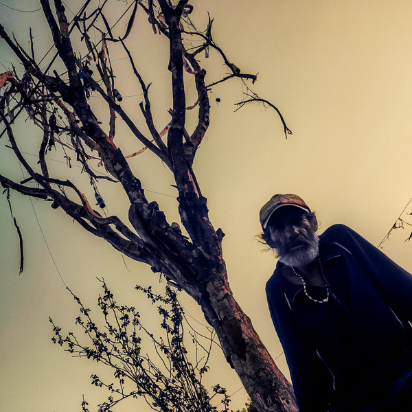 A Mexican man sits under a dried tree during the sunset in Tepito, a rough neighborhood of Mexico City, Mexico.