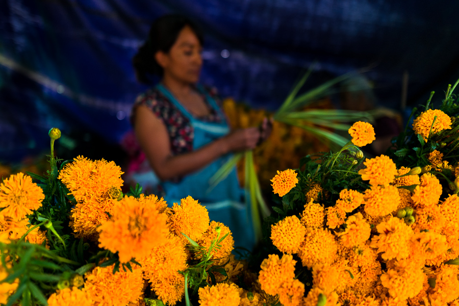 A Mexican flower market vendor sell piles of marigold flowers (Flor de muertos) for Day of the Dead festivities in Oaxaca, Mexico.