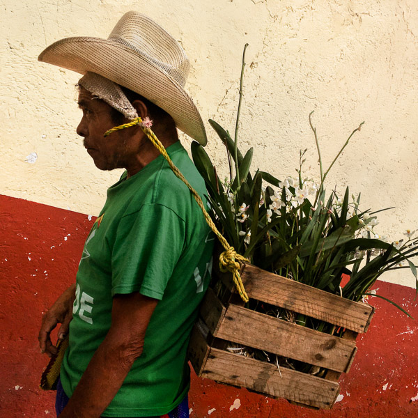 An indigenous Tzotzil Maya man carries a box, using “mecapal” (a tumpline), in San Cristóbal de las Casas, Chiapas, Mexico.