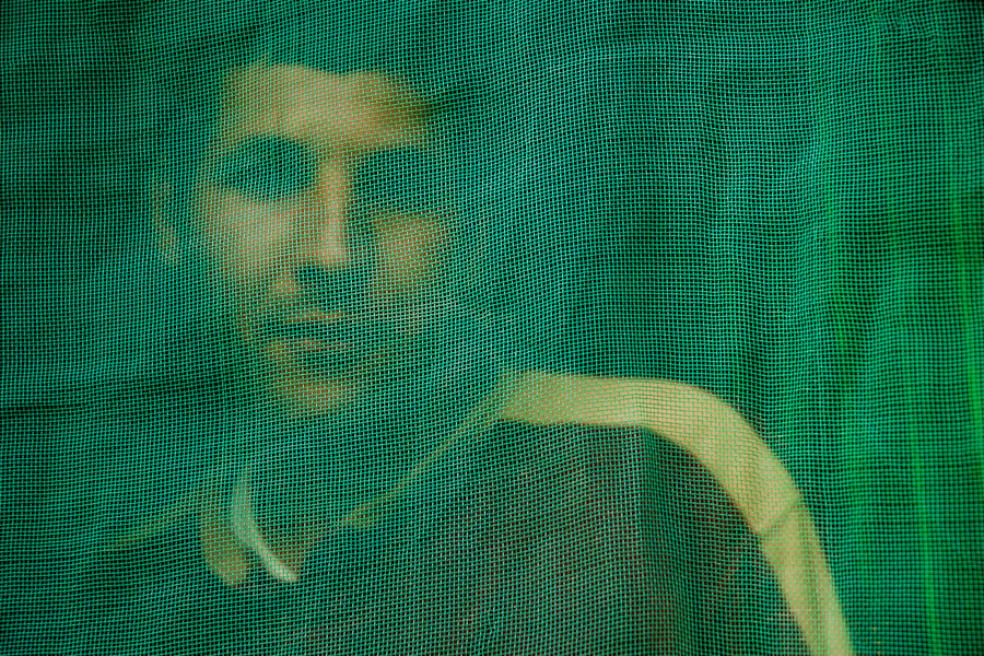 Maghreb immigrant worker watching through the window in the green-house.