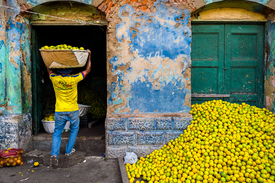 A Colombian worker carries a basket loaded with green oranges (for juicing) in an open-air fruit market in Barranquilla, Colombia.