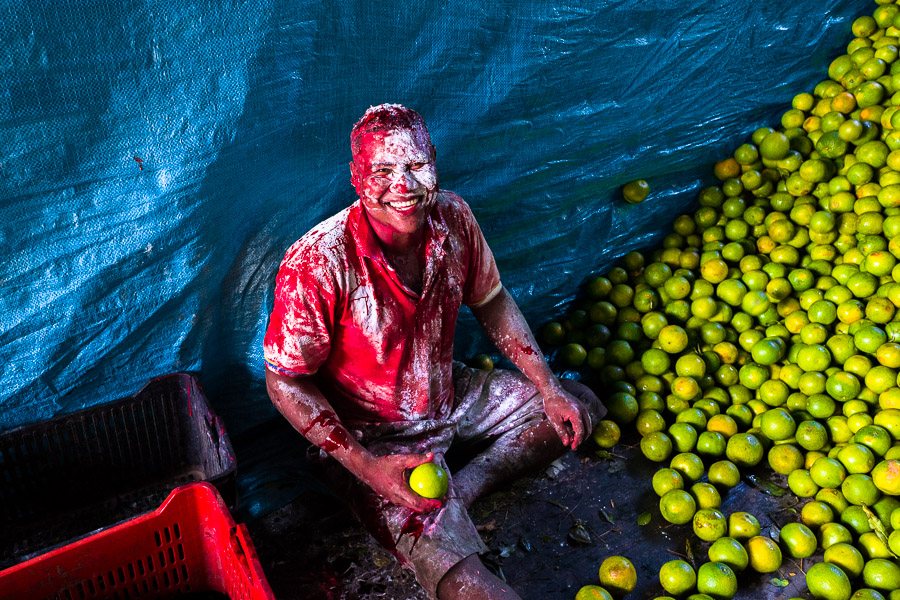 An Afro-Colombian worker, covered by thrown flour due to his birthday, loads green oranges (for juicing) into baskets inside a truck parked in a fruit market in Barranquilla, Colombia.