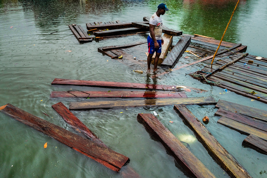 An Afro-Colombian carrier balances on rough sawn timbers, extracted from the Pacific rainforest, floating in the water during wood transportation in the port of Turbo, Colombia.