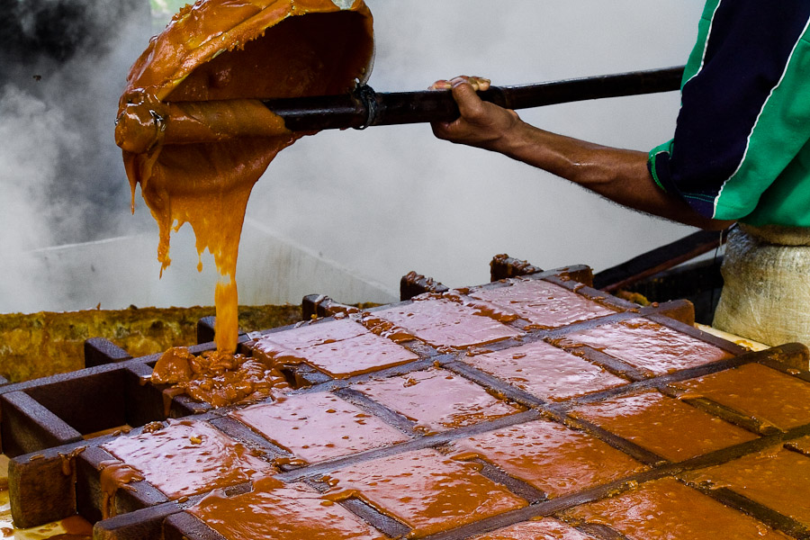 A Colombian peasant pours hot sugar cane juice into a wooden mold during the processing of panela in a rural sugar cane mill (trapiche) in San Agustín, Colombia.