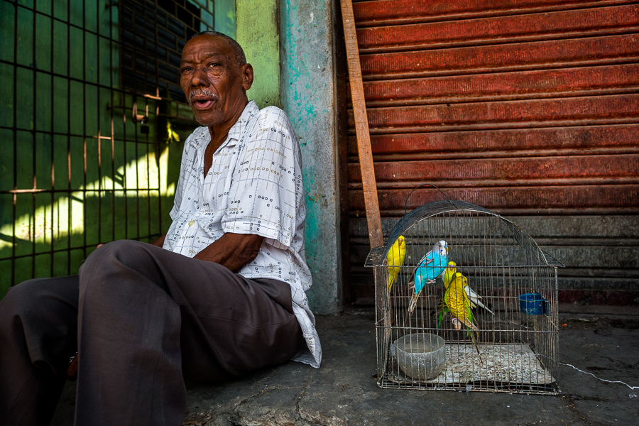A Colombian bird vendor offers budgerigar parrots for sale in the bird market in Cartagena, Colombia.