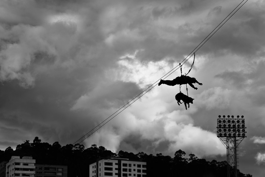 A dog of the Police Rescue team rappels down in the air in Quito, Ecuador.