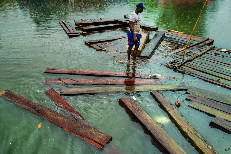 An Afro-Colombian carrier balances on rough sawn timbers floating in the water during wood transportation in the port of Turbo, Colombia.