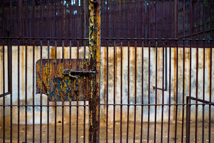 An empty concrete cage with rusted bars in the monkey area of the Havana Zoo.