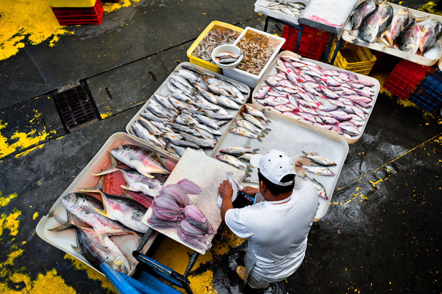 A Panamanian fisherman cleans the fish at Mercado de Mariscos seafood and fish market in Panama City, Panama.