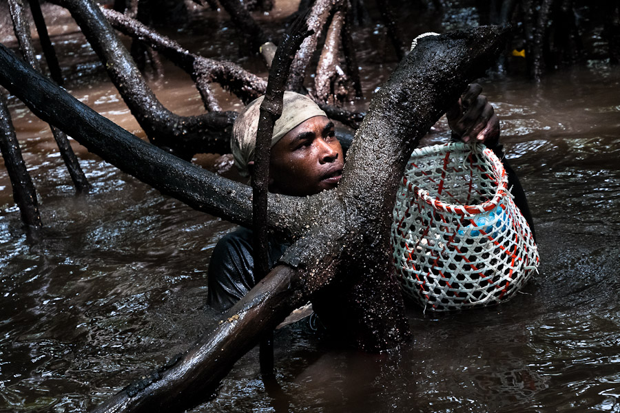 Although generally not accepted, some shellfish pickers mark the piangua-rich territories as they were their property. As they do not want other ‘concheros’ to work there, fights about the territory appear from time to time.