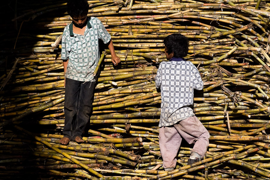 Colombian kids play on a pile of sugar cane stalks during the processing of panela in a rural sugar cane mill (trapiche) in San Agustín, Colombia.