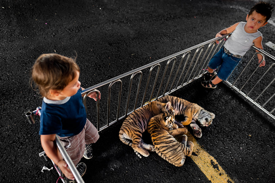 Small boys, members of the old circus family Fuentes Gasca from Mexico, play with tiger puppies in the backstage of Circus Renato, in San Salvador, El Salvador.