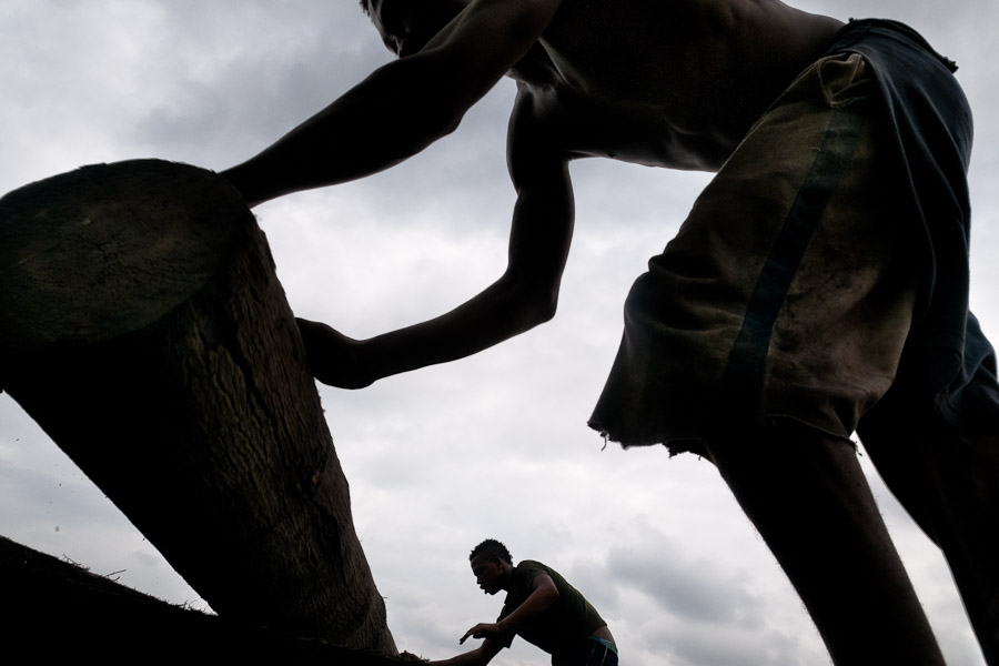 About 100,000 hectares of forest are cut down illegally every year in Colombia.