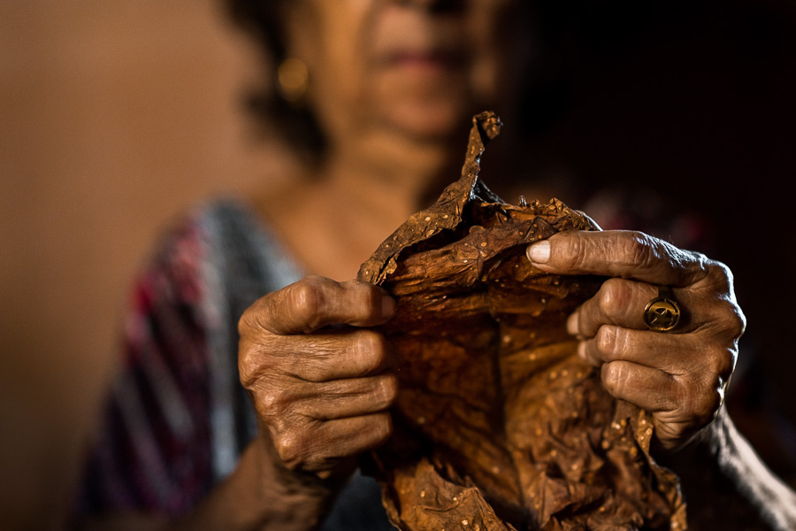 Laura Peña, a 67-years-old Salvadoran woman, inspects a tobacco leaf before rolling a handmade cigar in her house in Suchitoto, El Salvador.