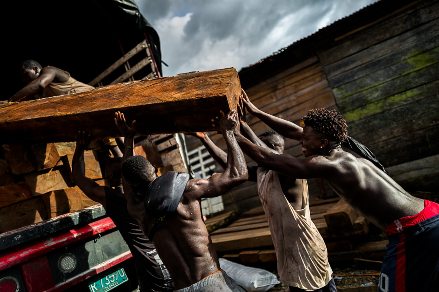 Afro-Colombian carriers load a rough sawn timber onto a truck during wood transportation in the port of Quibdó, Colombia.