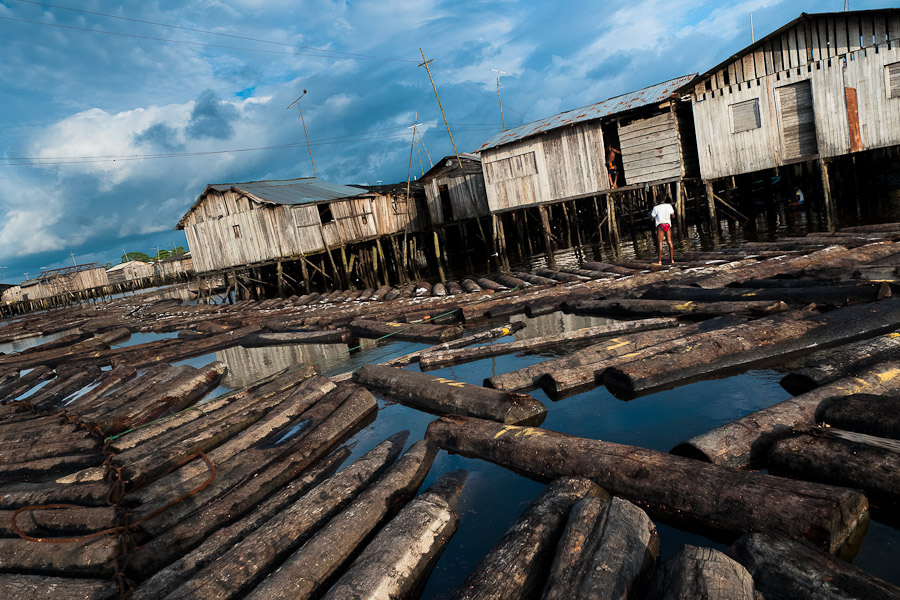 Each year, nearly 200,000 hectares of natural forest are lost in Colombia.