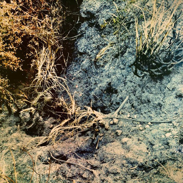 The burned forest vegetation is seen on the burn area in Guanguiltagua, the Metropolitan Park of Quito, Ecuador.