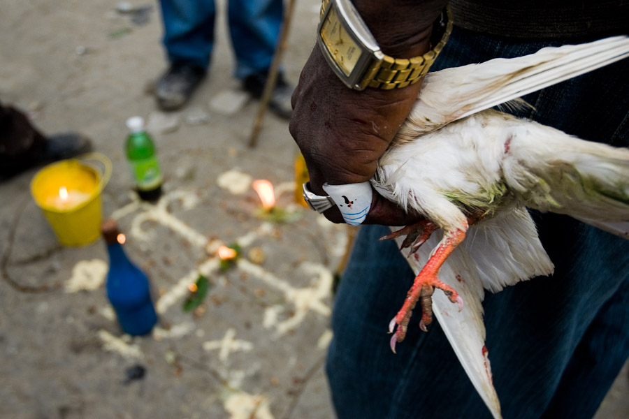 A Haitian man holds a white pigeon destined as an animal sacrifice during the Voodoo ceremony in Saut d'Eau, Haiti.