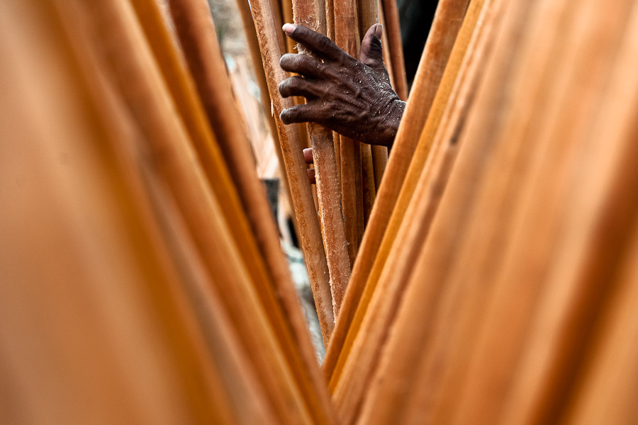 The wood species processed here are sajo, machare, roble, guabo, cargadero and pacora.