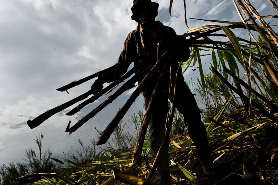 Hořká chuť cukru (Valle del Cauca, Kolumbie)