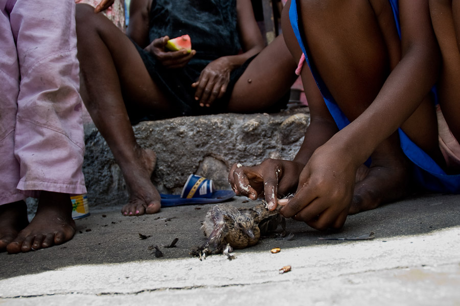 Sluneční město (Haiti)