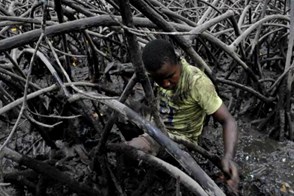 Swamp People (Tumaco, Colombia)